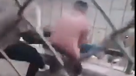 فيديو لنمر يسحب طفلاً من فتحات القفص.. وعملية معقدة لإنقاذه