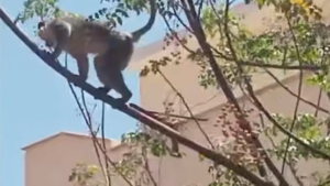 2666FF30-0669-49E4-BF5A-AD0A41165FBC