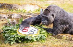 66DBE032-41FA-4D39-B9FF-8E318E06CFD7