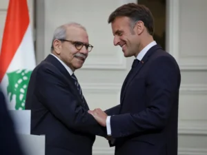 967A6BDB-94DC-4985-946F-131CB35D22C3