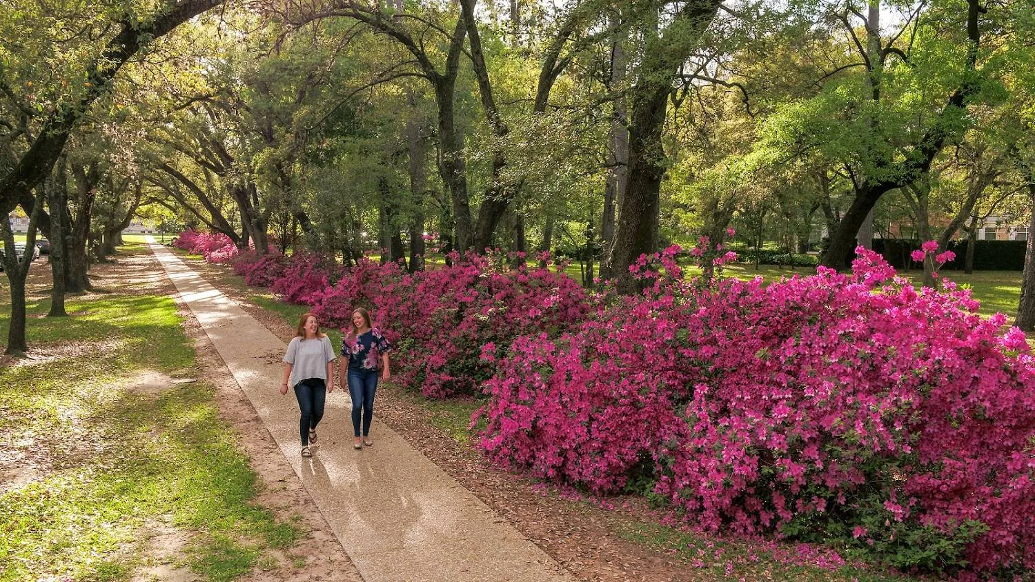عادات يجب التخلي عنها لاستعادة النشاط في الربيع