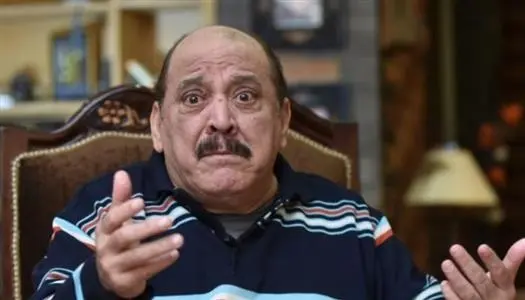 ضياء الميرغني