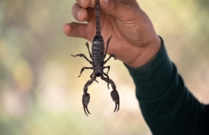 C1ECCF5A-E3CC-4437-9DBF-7736C559823B